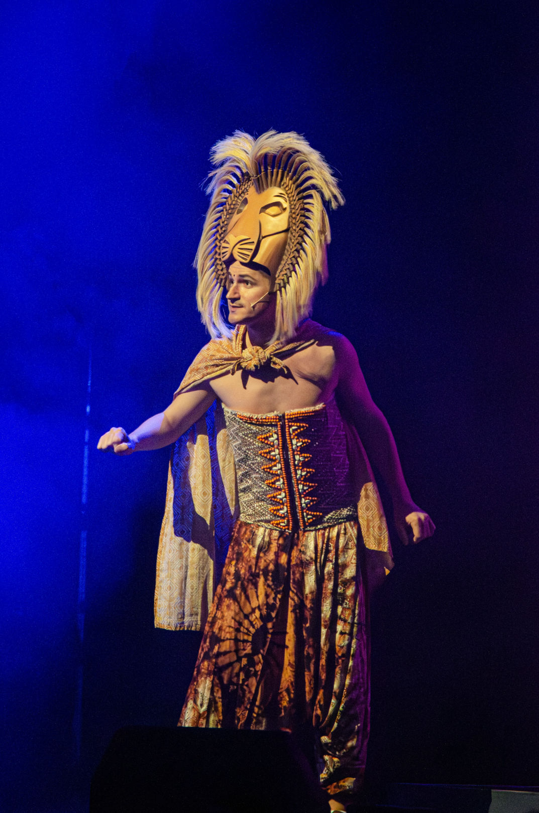 König der Löwen Musical - Musicaldinner Bayern