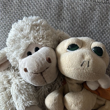 Wesley und Turtle Maskottchen Musicaldinner Bayern