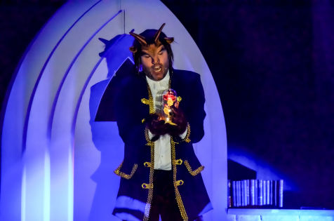 Die Schöne und das Biest - Musicaldinner Bayern in Cham